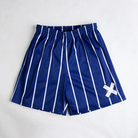 Striped Blue Mesh Shorts
