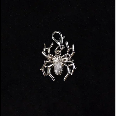 Spider Metal Shoelace Charm